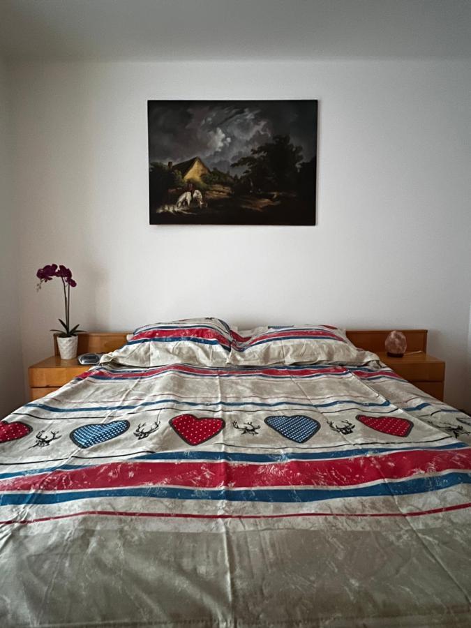 Noreea Central Apartment ทิมิชัวรา ภายนอก รูปภาพ